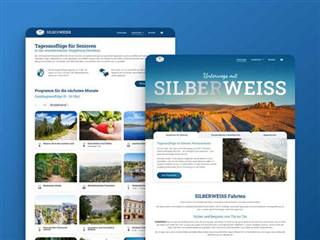 Webdesign mit WordPress-Programmierung - Event-Seite mit klarer Struktur aus Dresden